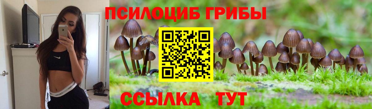 Галлюциногенные грибы Cubensis Сунжа